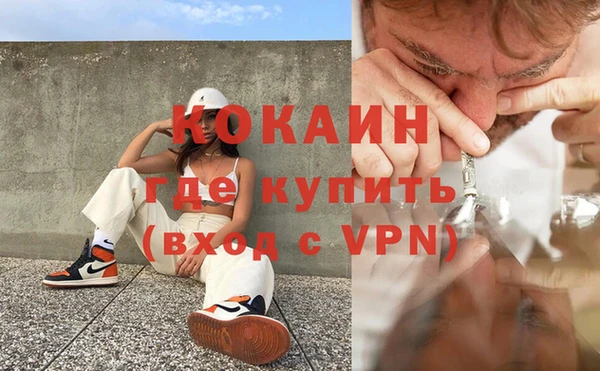индика Бронницы
