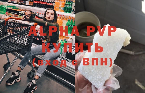 индика Бронницы
