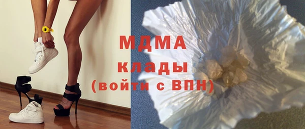 индика Бронницы