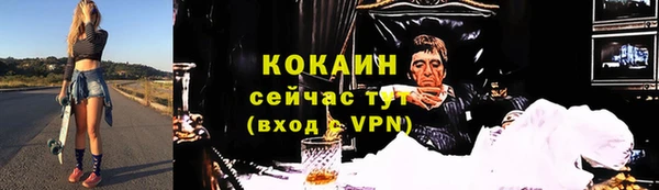 индика Бронницы