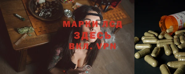 крисы Богданович
