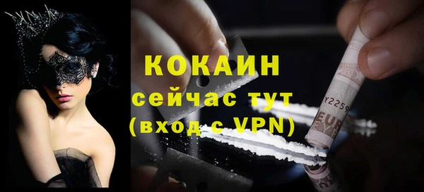 гидра Бородино