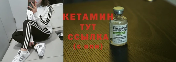 индика Бронницы