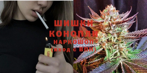 индика Бронницы