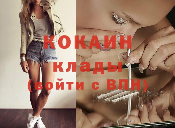 гидра Бородино