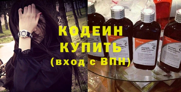 гидра Бородино