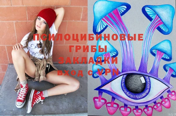 индика Бронницы