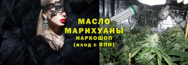 индика Бронницы