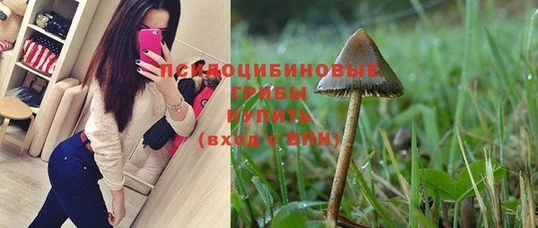 экстази Анива