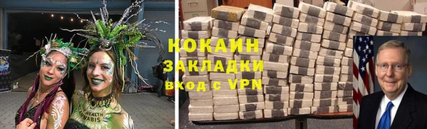 индика Бронницы